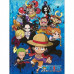 CAD BROCH CD UN ONE PIECE 80F